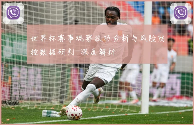世界杯赛事观察技巧分析与风险防控数据研判-深度解析