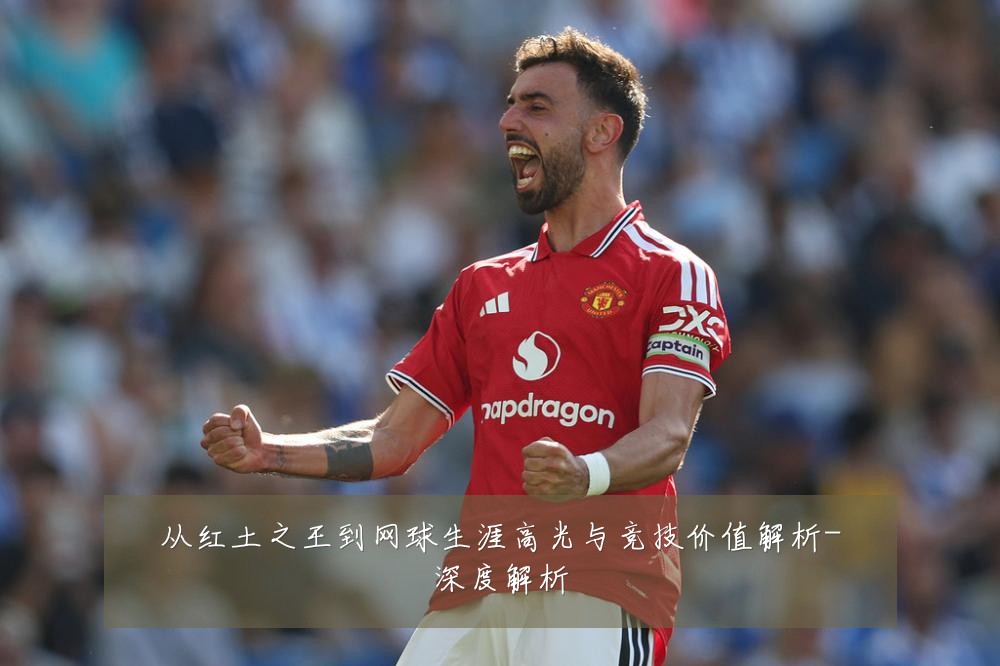 从红土之王到网球生涯高光与竞技价值解析-深度解析
